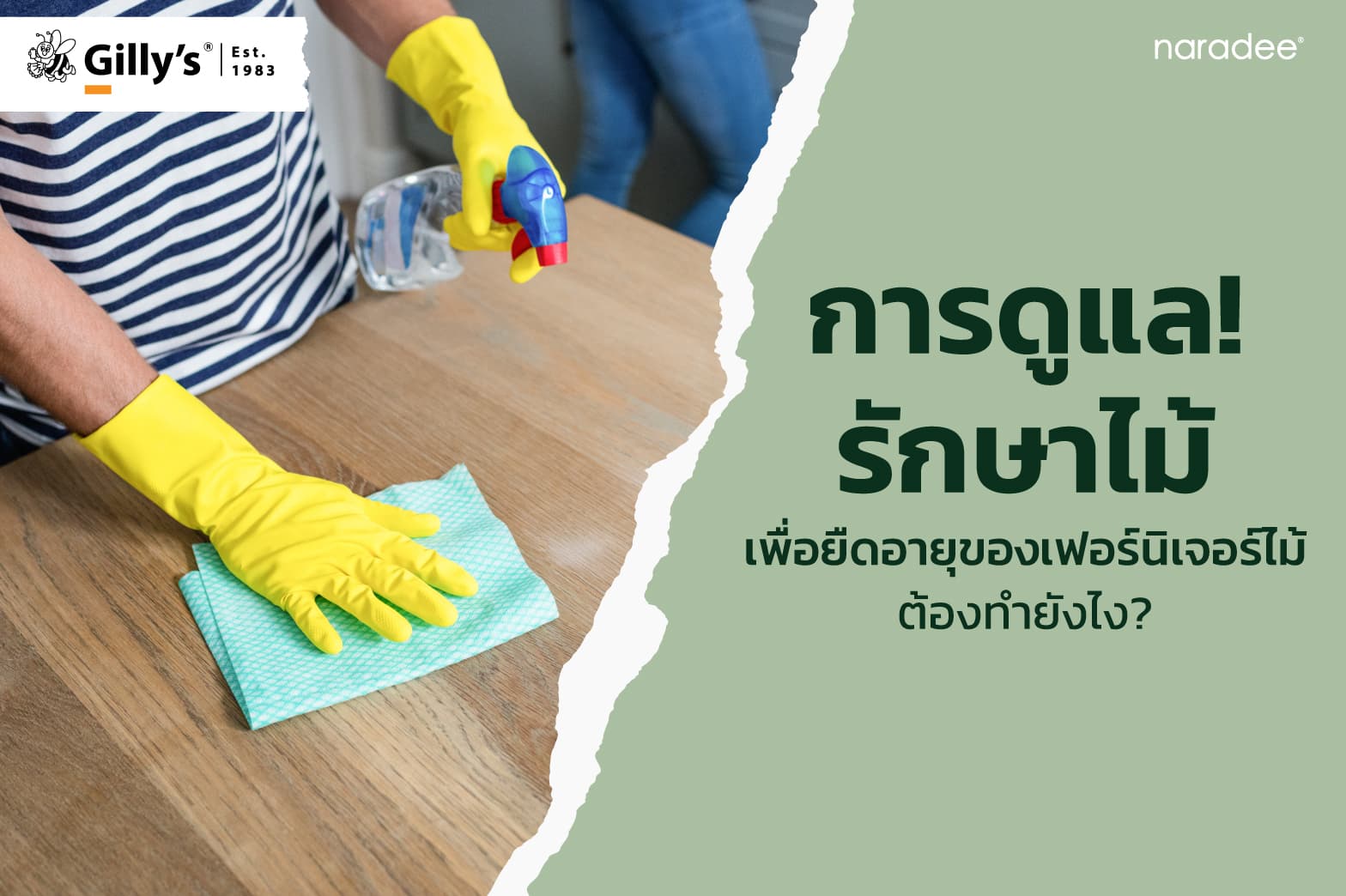 การดูแลรักษาไม้ เพื่อยืดอายุของเฟอร์นิเจอร์ไม้ ต้องทำยังไง?