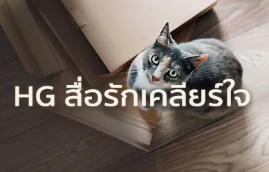 HG สื่อรักเคลียร์ใจ…